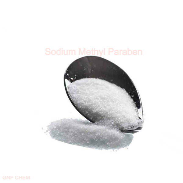 Antioxidants Preservative Sodium Methyl Paraben CAS 5026-62-0