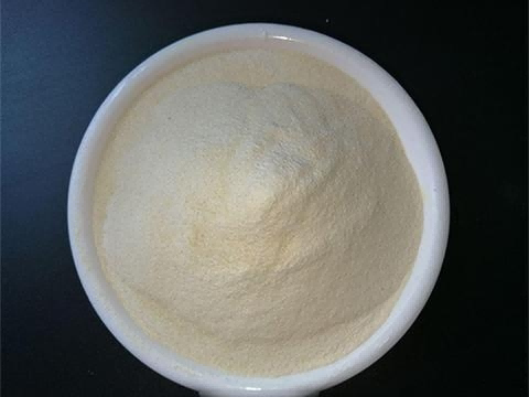 Food Additives Xanthan Gum CAS 11138-66-2 Food Additives Xanthan Gum CAS 11138-66-2