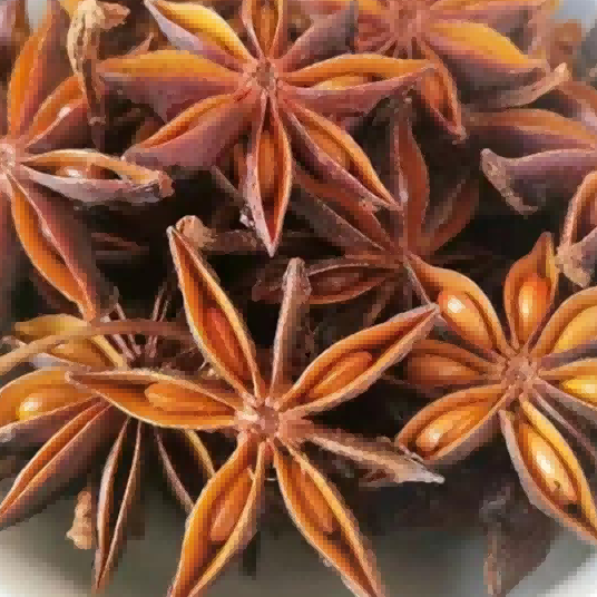 Food additive Essence and fragrance GNF Condiment Star anise Food additive Essence and fragrance GNF Condiment Star anise
