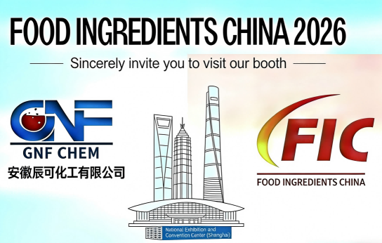 FIC 2026 Invitation Letter